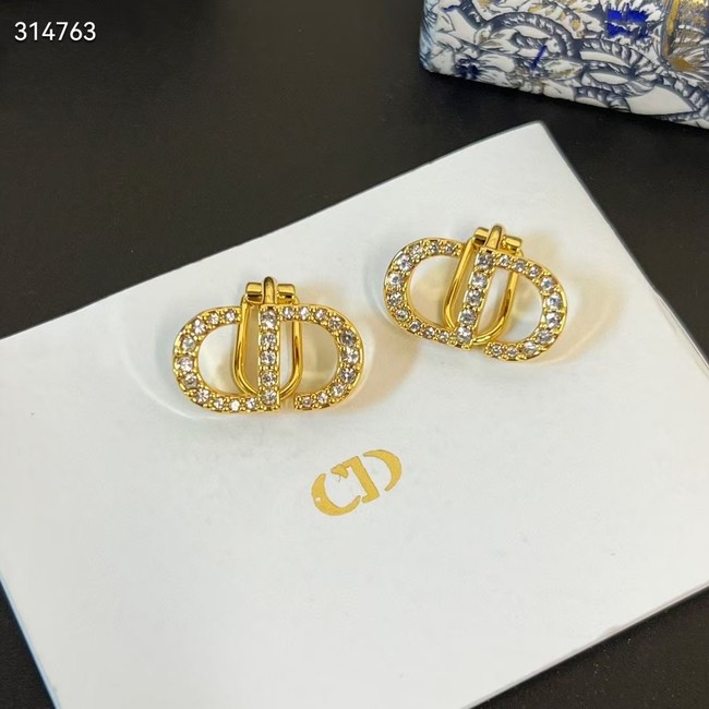 Dior Earrings CE11862