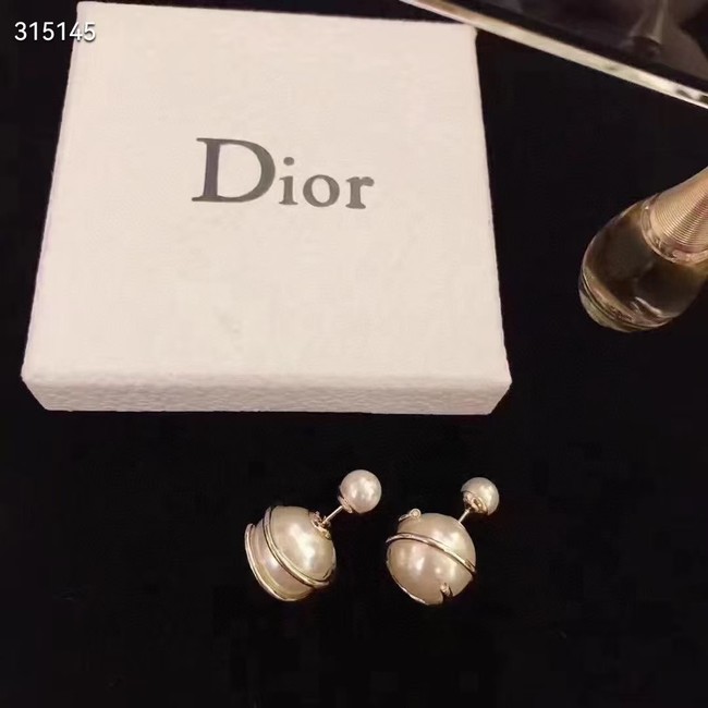 Dior Earrings CE11880