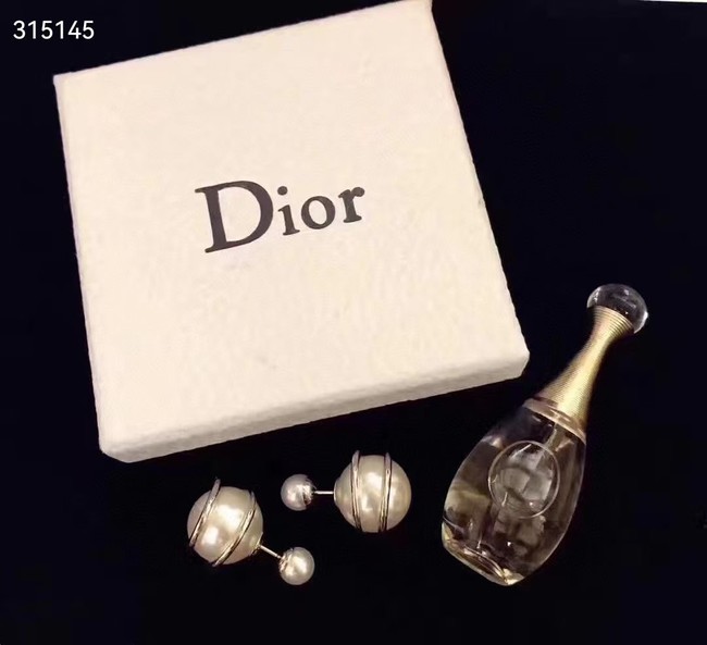 Dior Earrings CE11880