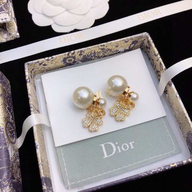 Dior Earrings CE11890