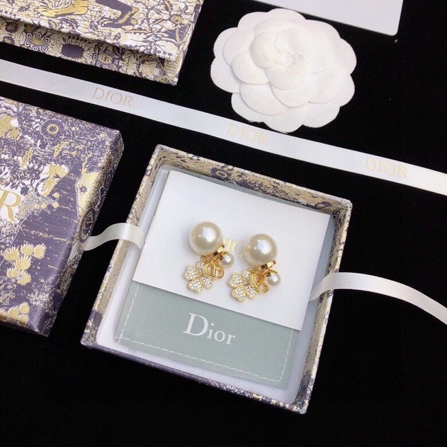 Dior Earrings CE11890