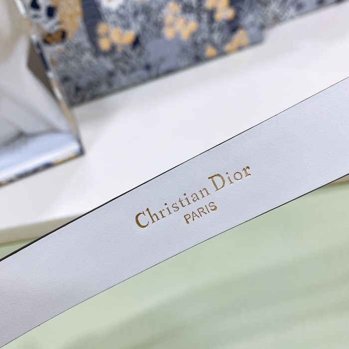 Dior Belt DIB00063