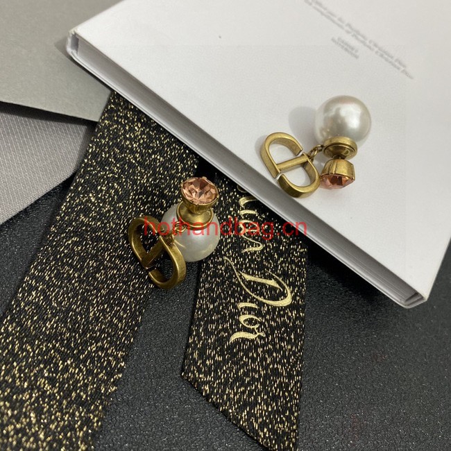 Dior Earrings CE11999