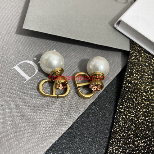 Dior Earrings CE11999