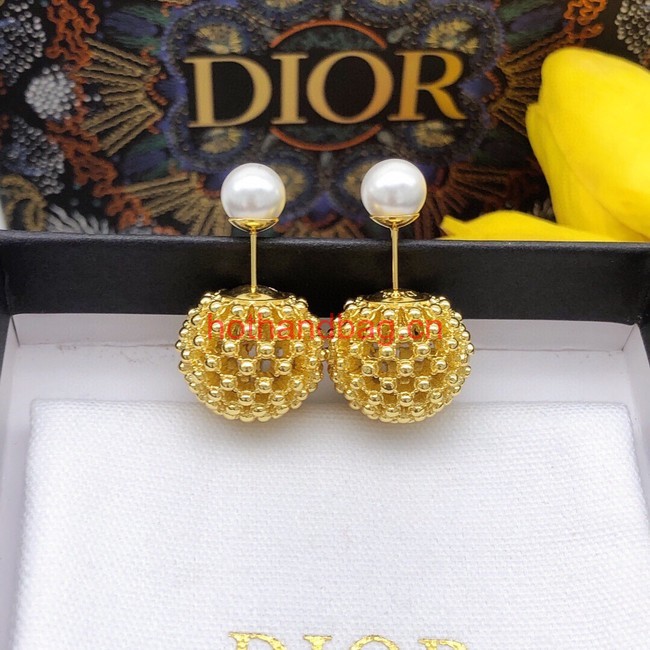 Dior Earrings CE12006