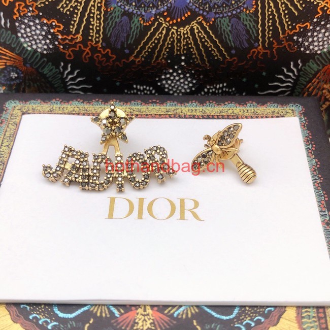 Dior Earrings CE12008