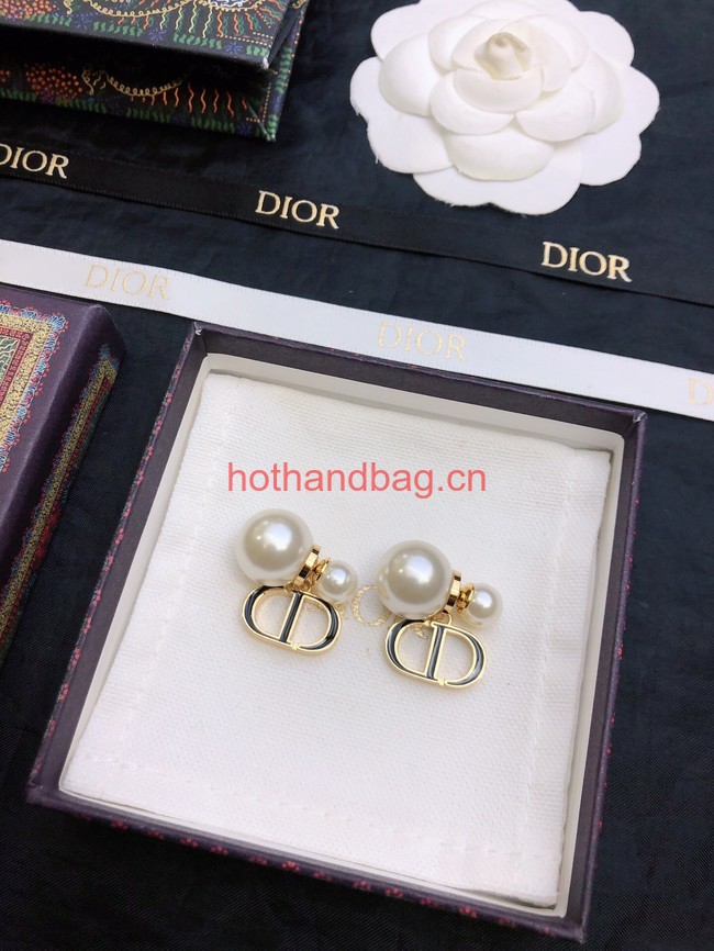 Dior Earrings CE12062