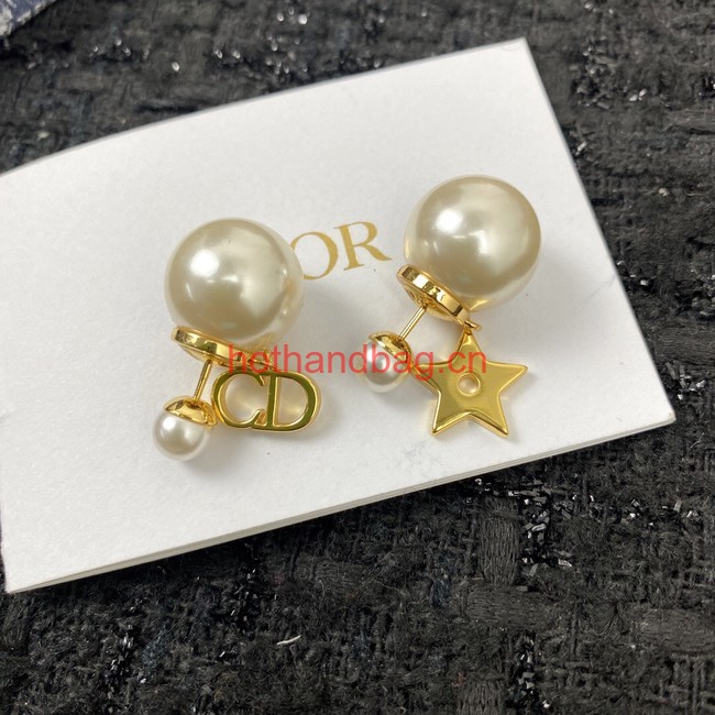 Dior Earrings CE12064