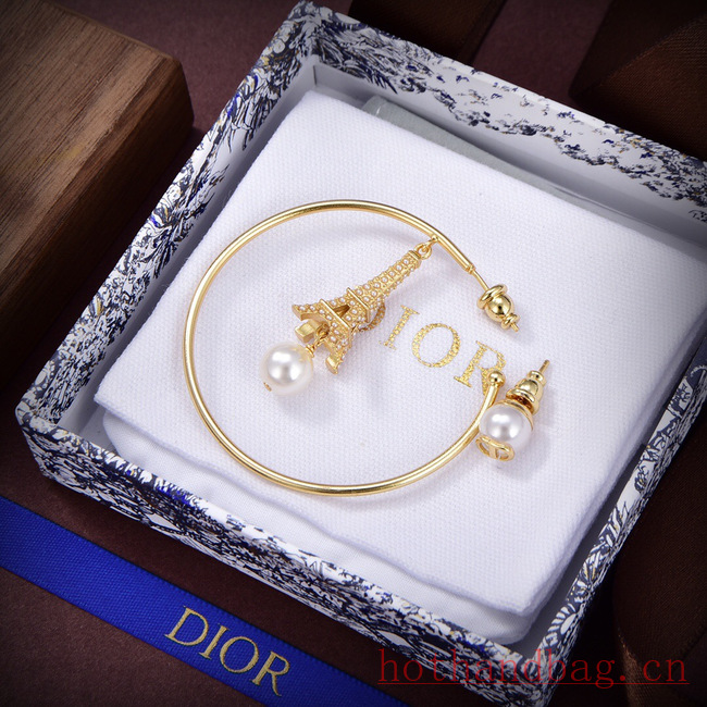 Dior Earrings CE12116