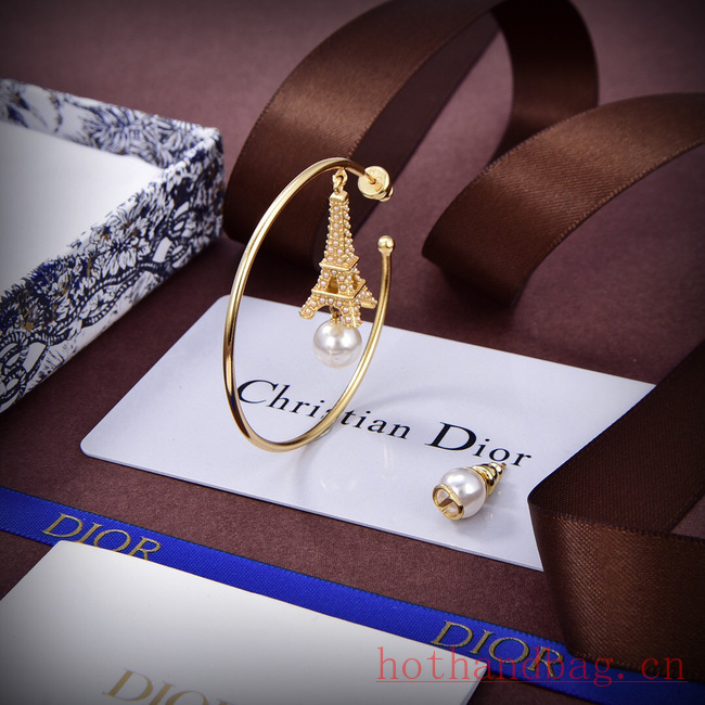 Dior Earrings CE12116