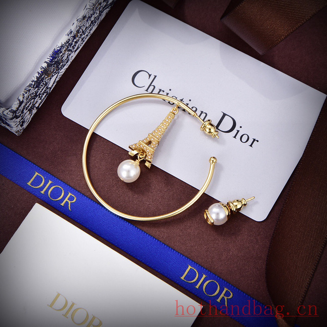 Dior Earrings CE12116