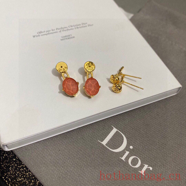 Dior Earrings CE12165