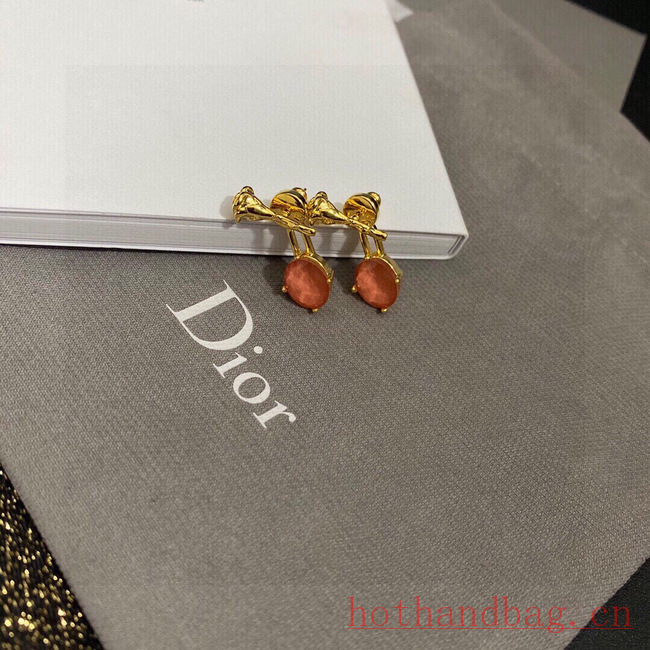 Dior Earrings CE12165