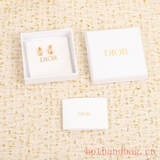 Dior Earrings CE12184