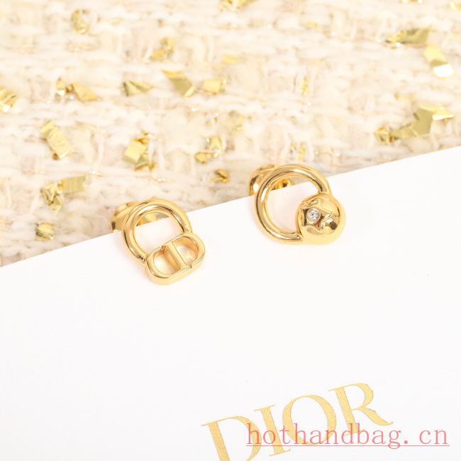 Dior Earrings CE12184