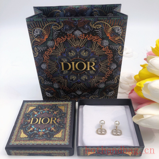 Dior Earrings CE12210