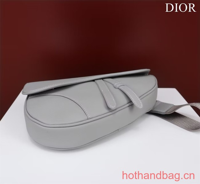 Dior Essentials SADDLE BAG Grained Calfskin 1ADPO093F GRAY