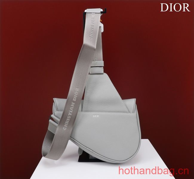 Dior Essentials SADDLE BAG Grained Calfskin 1ADPO093f-1 gray