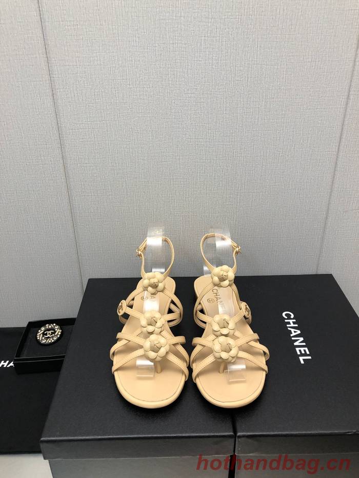 Chanel Shoes CHS00815
