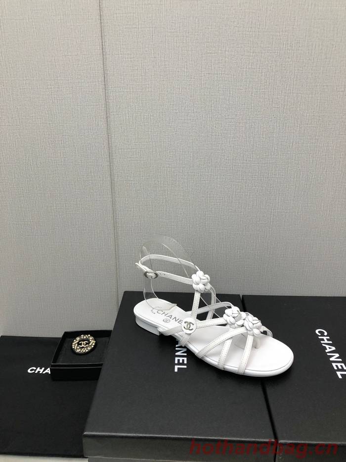 Chanel Shoes CHS00817