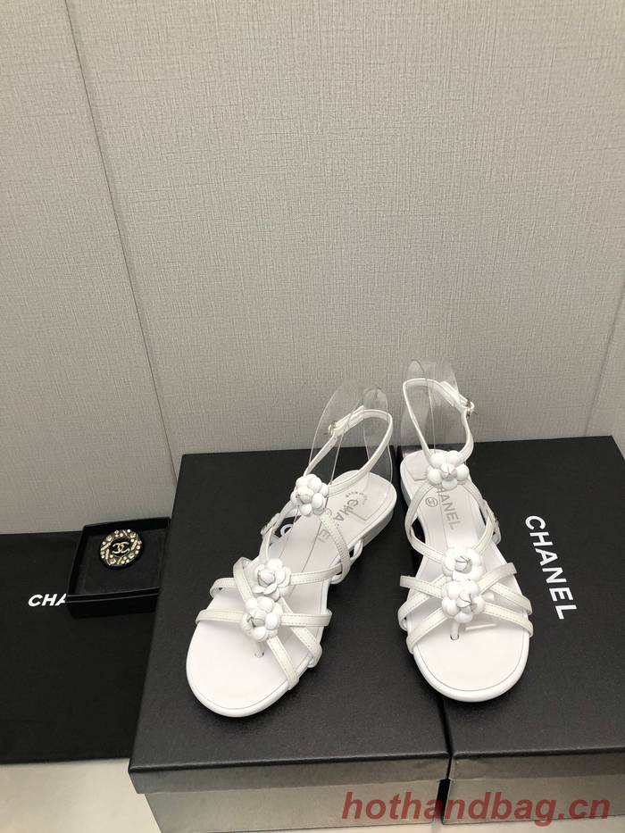 Chanel Shoes CHS00817
