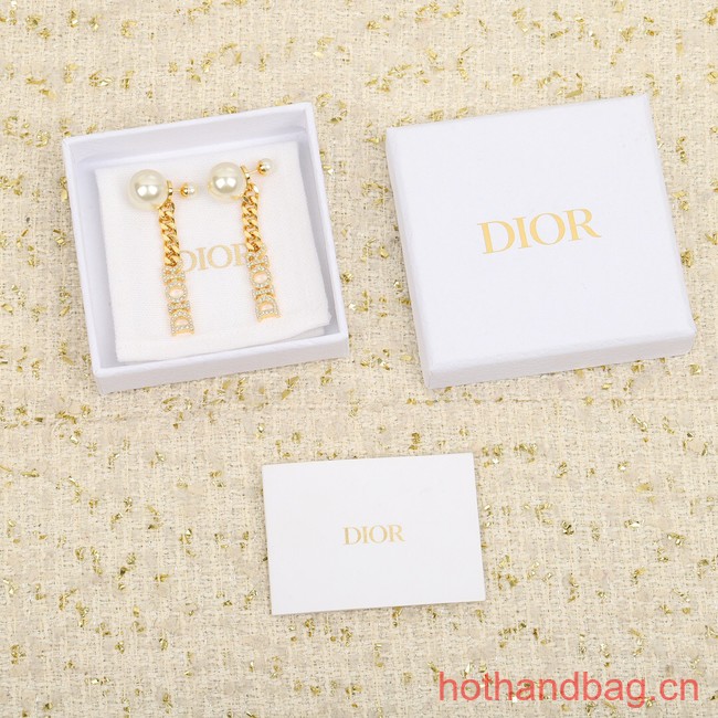Dior Earrings CE12270