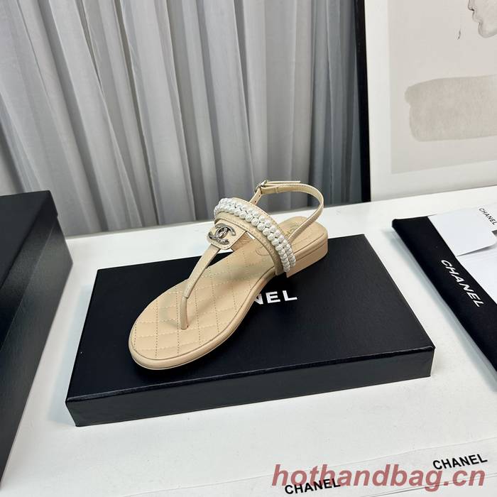 Chanel Shoes CHS01084