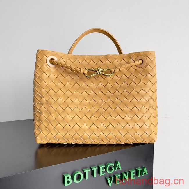 Bottega Veneta Medium Andiamo 743572 yellow