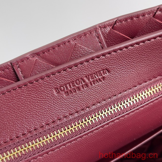 Bottega Veneta Small Andiamo 743568 Barolo