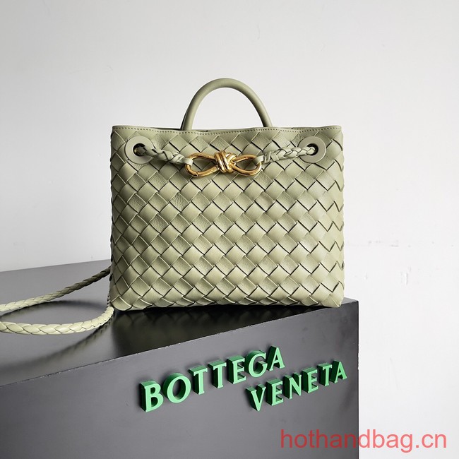 Bottega Veneta Small Andiamo 743568 Travertine