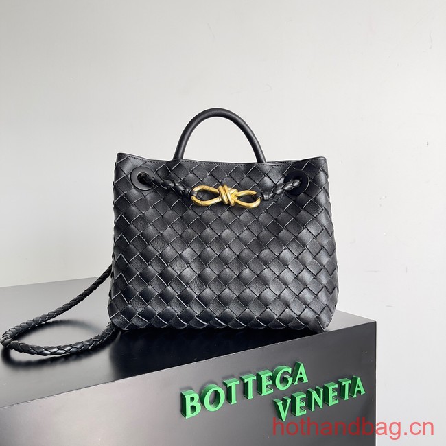 Bottega Veneta Small Andiamo 743568 black