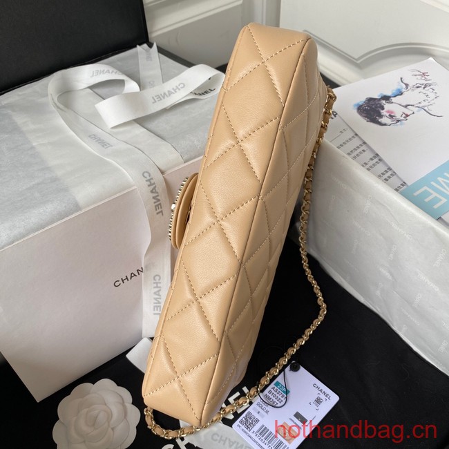 Chanel MINI FLAP BAG AS3791 Apricot