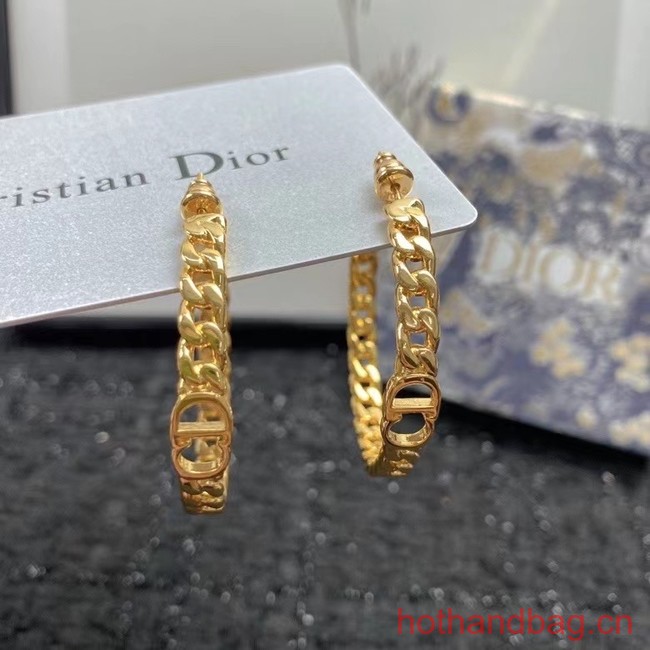 Dior Earrings CE12276