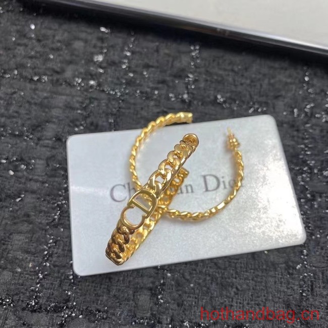 Dior Earrings CE12276