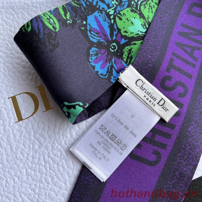 Dior Scarf DIC00154