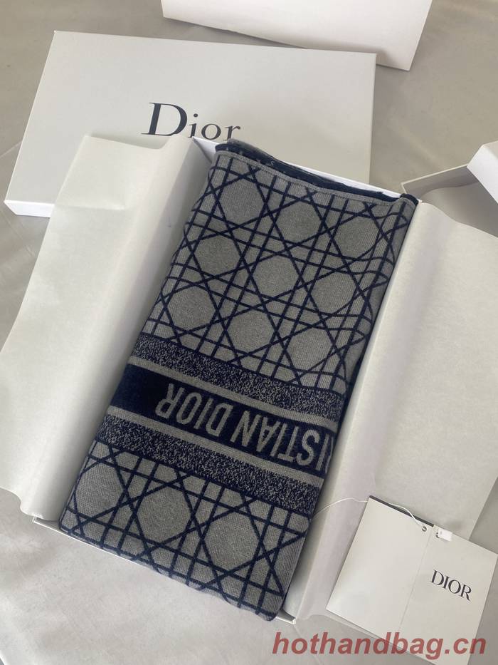 Dior Scarf DIC00156