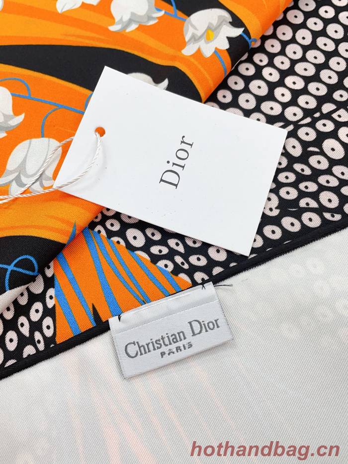 Dior Scarf DIC00168