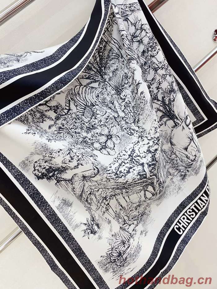 Dior Scarf DIC00172