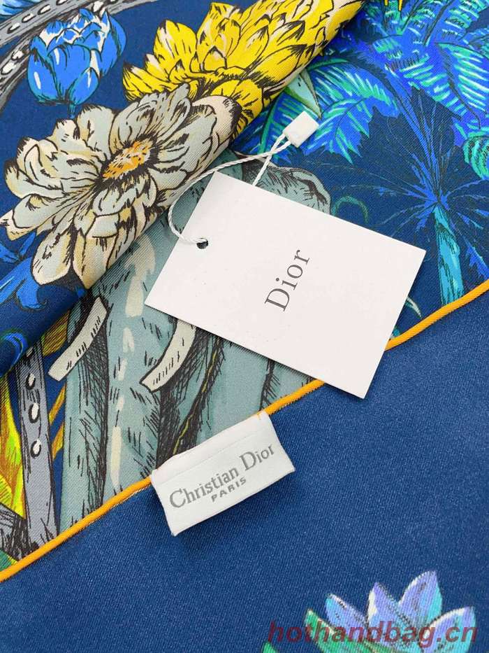 Dior Scarf DIC00176