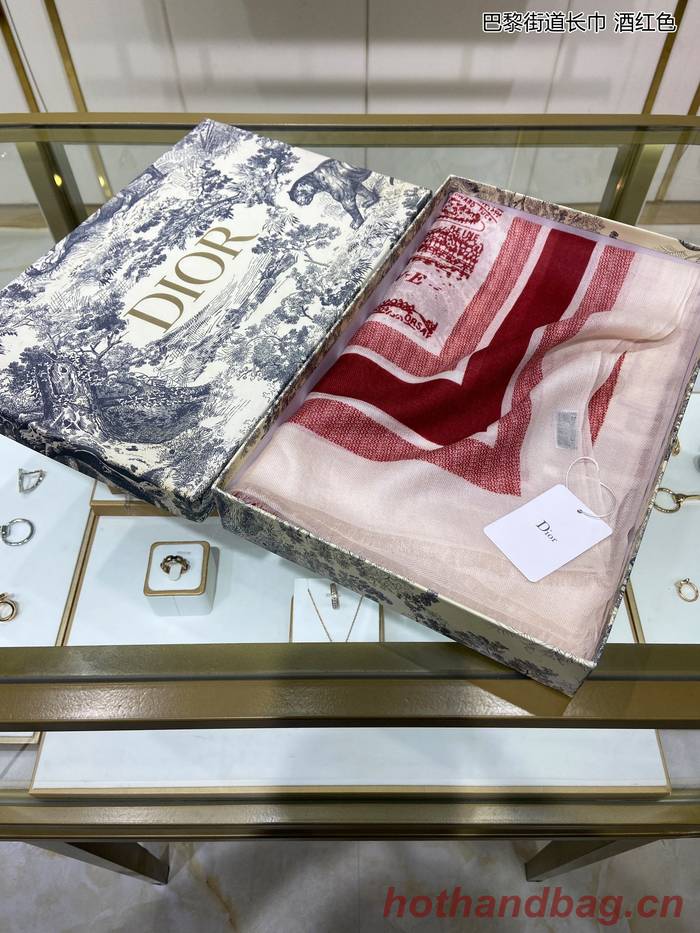 Dior Scarf DIC00181