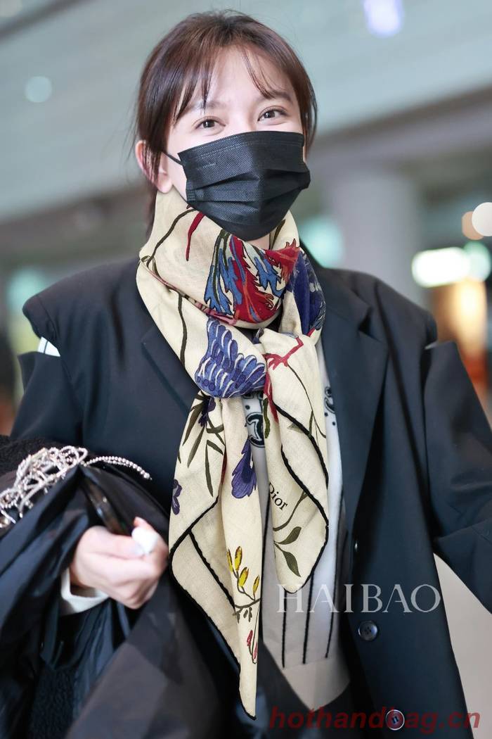 Dior Scarf DIC00188