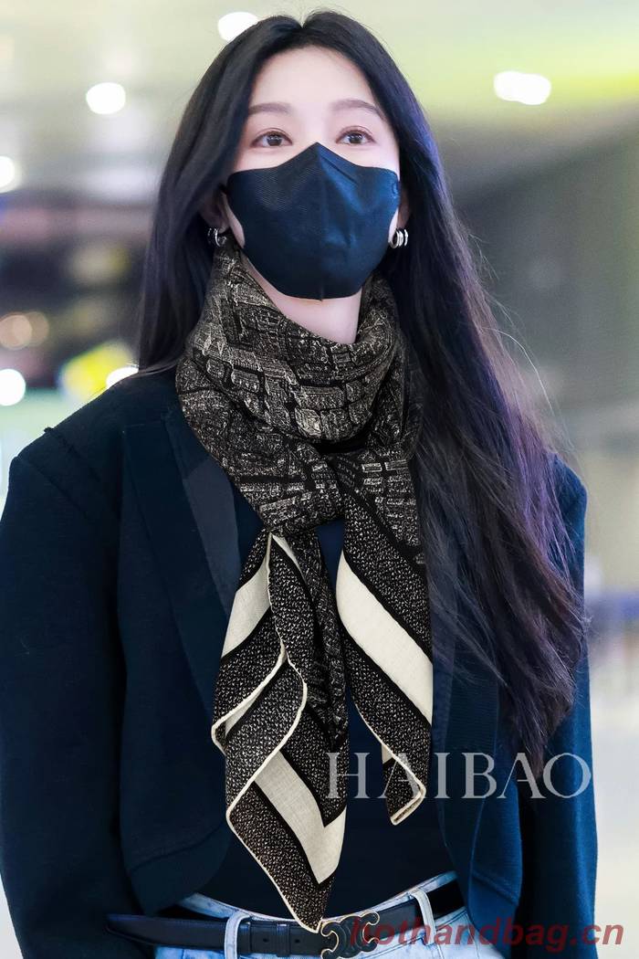 Dior Scarf DIC00193