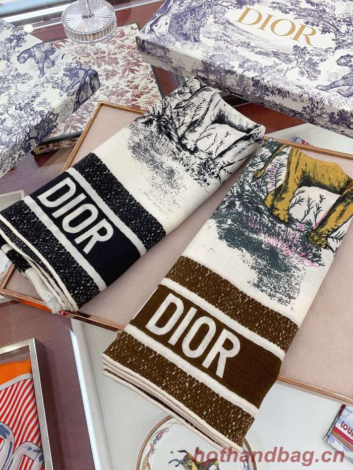 Dior Scarf DIC00197