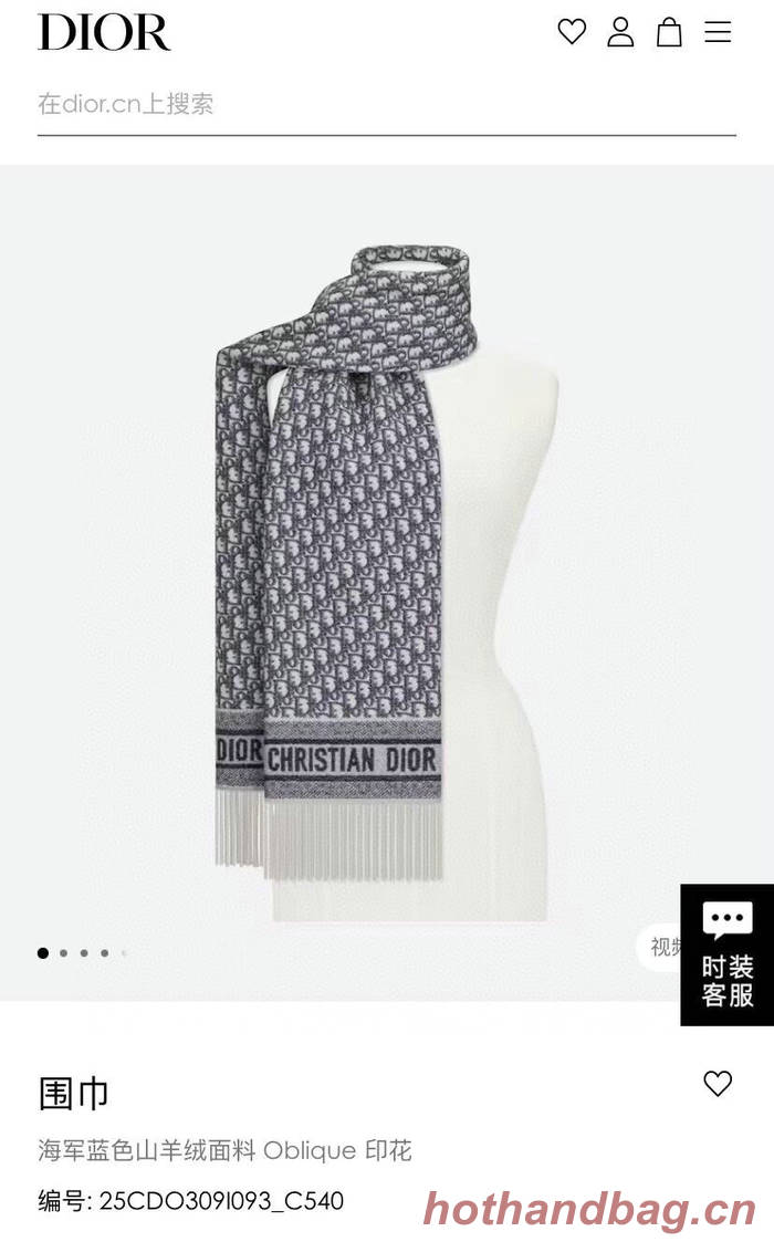 Dior Scarf DIC00211