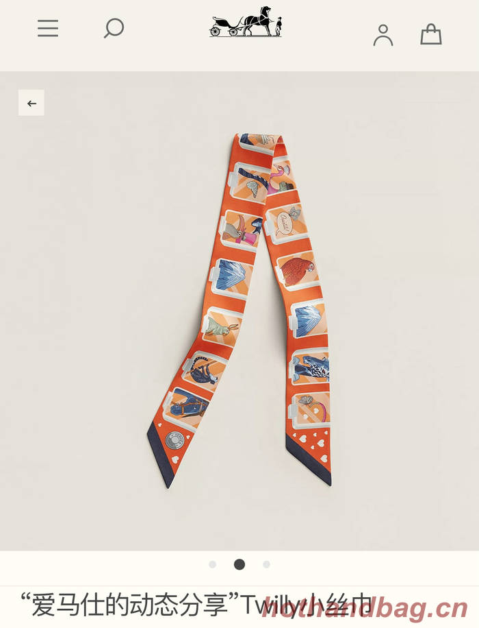 Hermes Scarf HEC00561