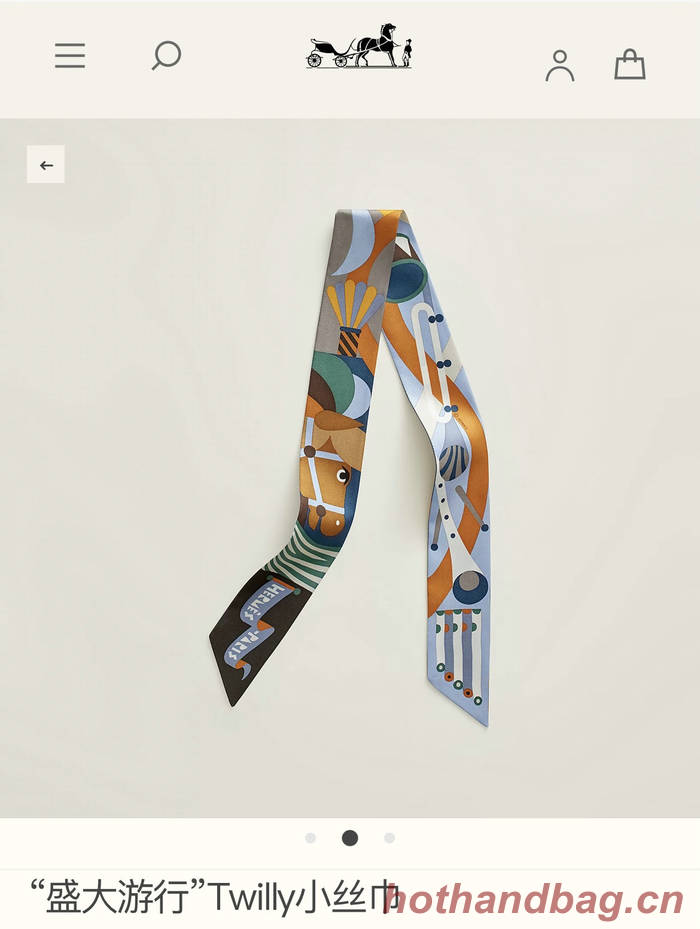 Hermes Scarf HEC00572