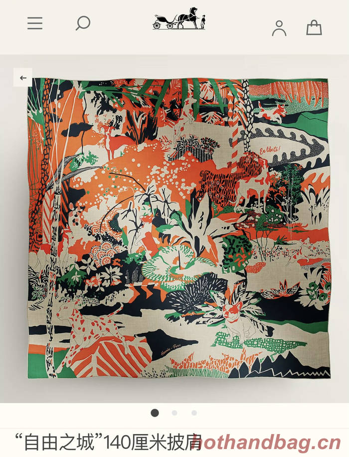 Hermes Scarf HEC00708