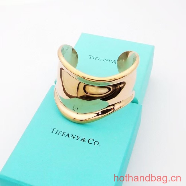 TIFFANY BRACELET CE12293