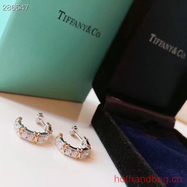 TIFFANY Earrings CE12294