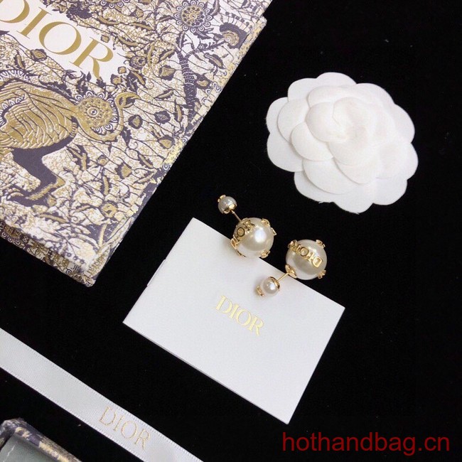 Dior Earrings CE12326